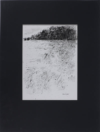 Maurice GENIS : Le champs de fleurs, Dessin original signé