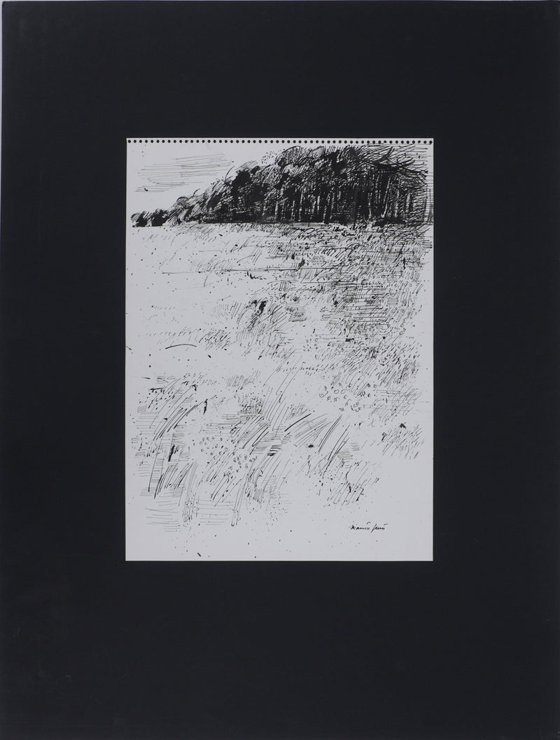 Maurice GENIS : Le champs de fleurs, Dessin original signé