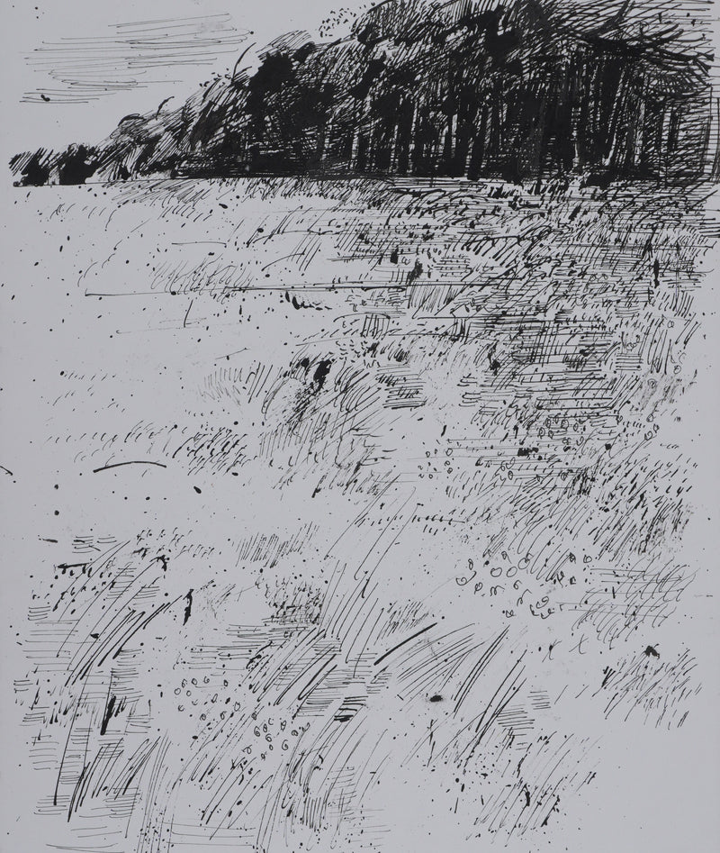Maurice GENIS : Le champs de fleurs, Dessin original signé
