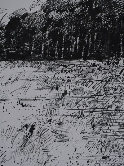 Maurice GENIS : Le champs de fleurs, Dessin original signé