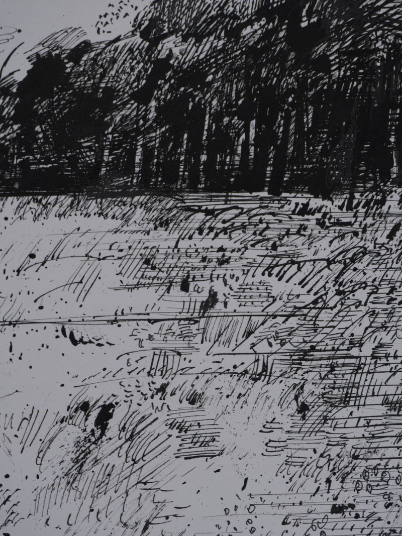 Maurice GENIS : Le champs de fleurs, Dessin original signé