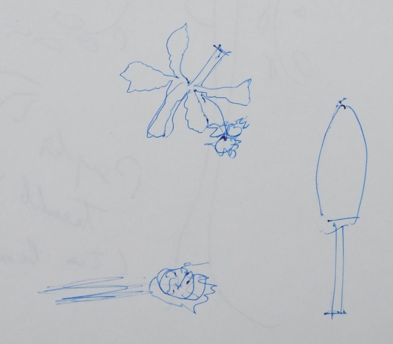 Autographe original de Paul TEITGEN (photo de détail 5) - Crédit photo : Galerie Art.Paris