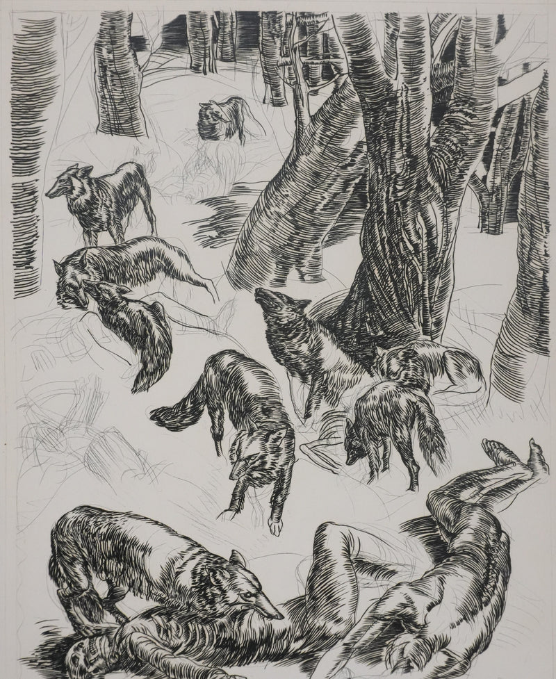 Albert DECARIS : Les loups, Gravure originale signée