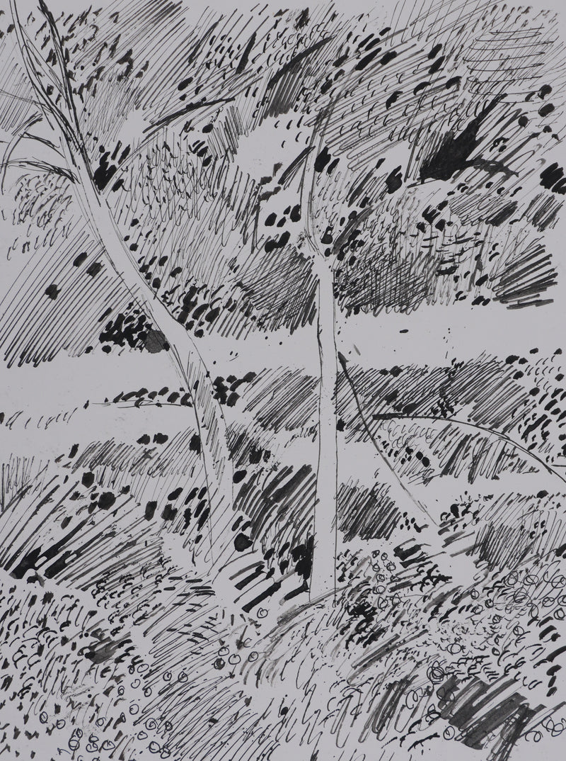 Maurice GENIS : Sur les rives du ruisseau, Dessin original signé
