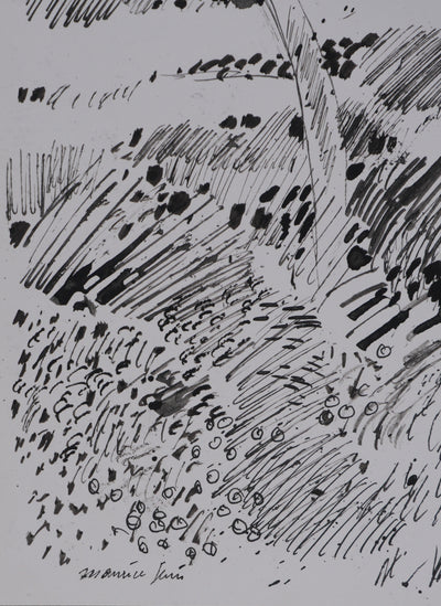 Maurice GENIS : Sur les rives du ruisseau, Dessin original signé
