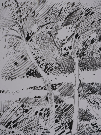 Maurice GENIS : Sur les rives du ruisseau, Dessin original signé