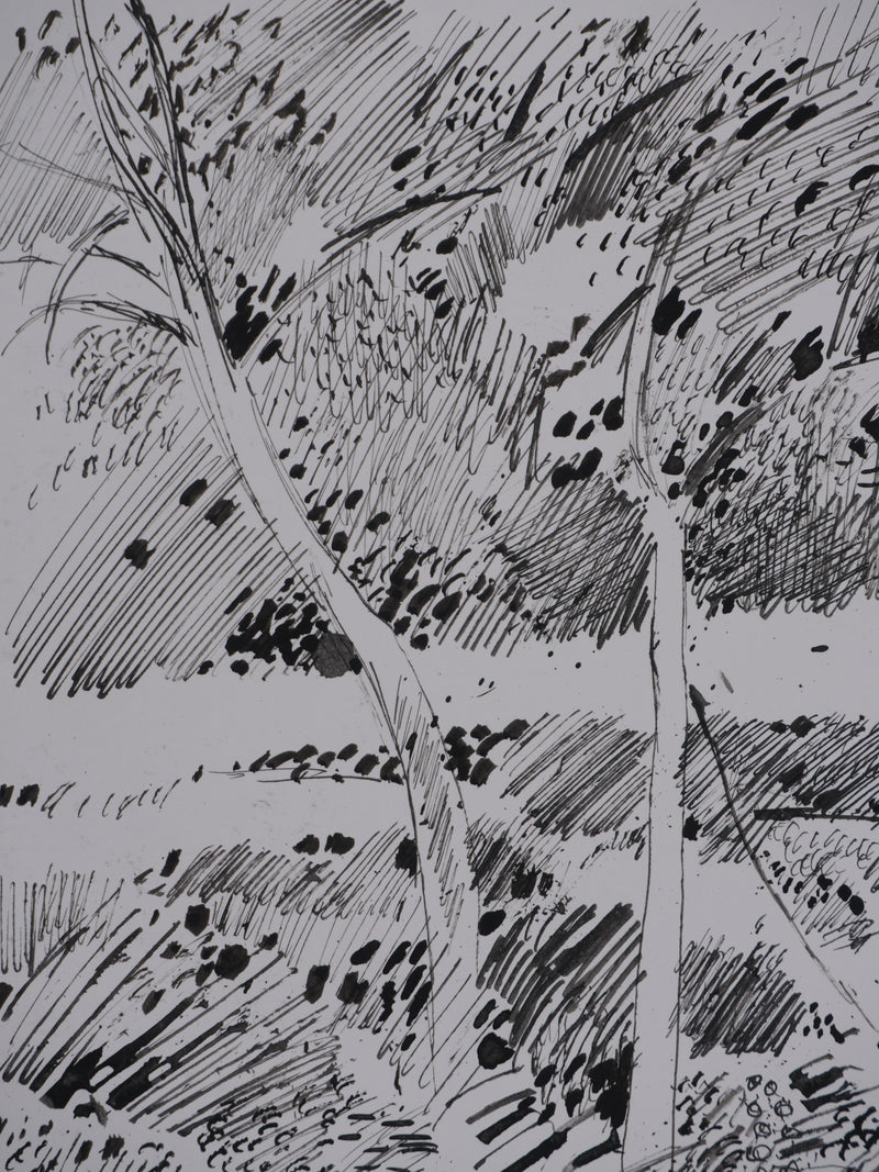 Maurice GENIS : Sur les rives du ruisseau, Dessin original signé