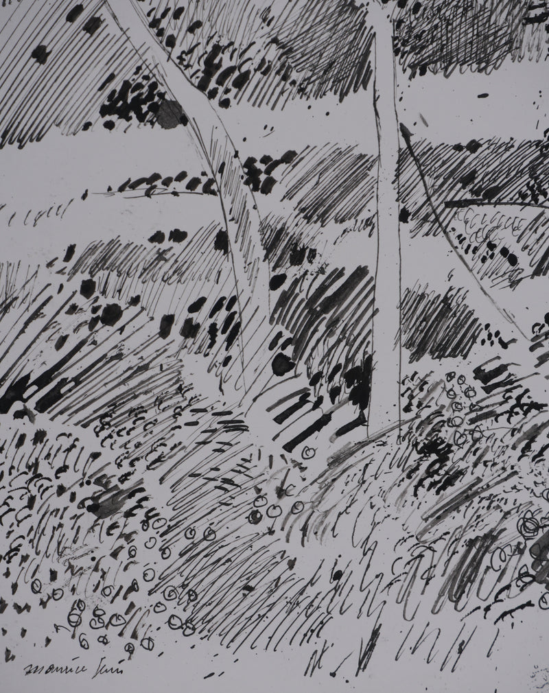 Maurice GENIS : Sur les rives du ruisseau, Dessin original signé
