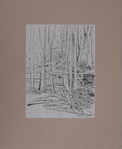 Maurice GENIS : Le sous-bois, Dessin original signé