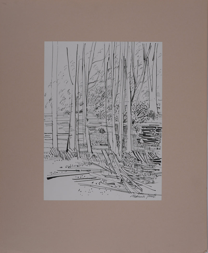 Maurice GENIS : Le sous-bois, Dessin original signé