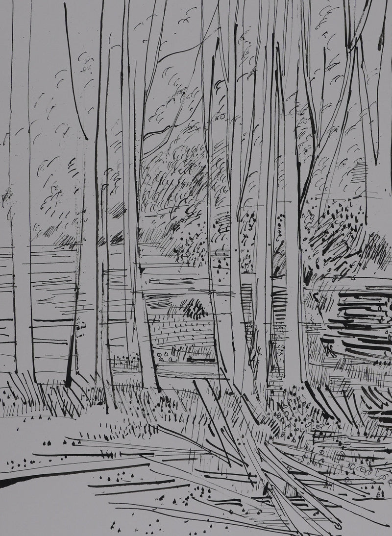 Maurice GENIS : Le sous-bois, Dessin original signé