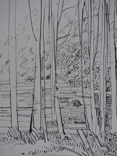 Maurice GENIS : Le sous-bois, Dessin original signé