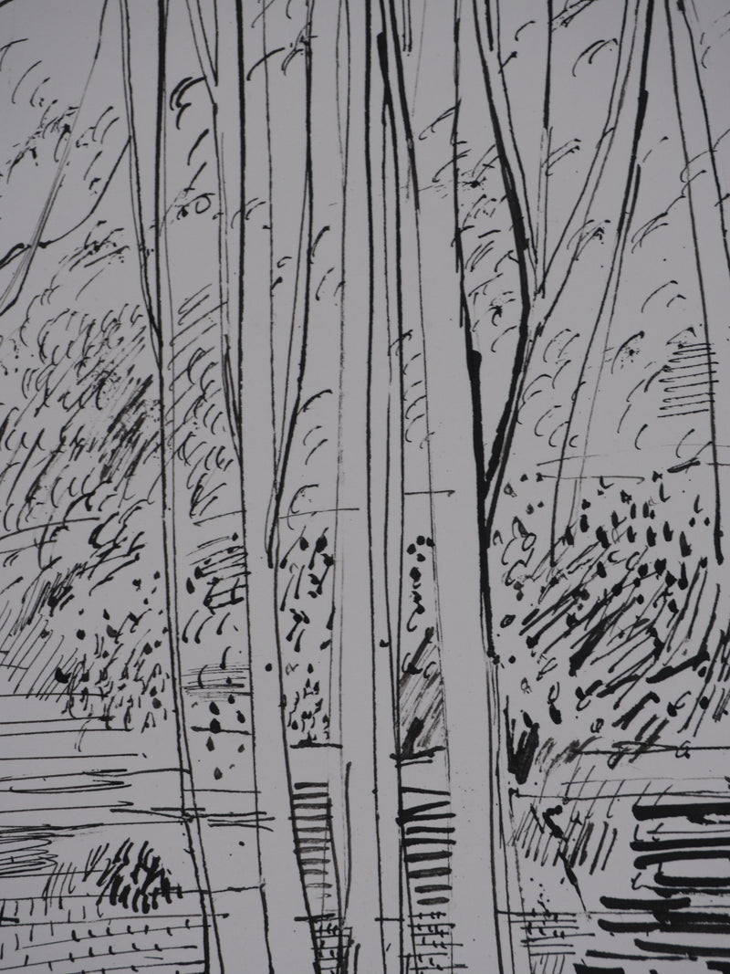 Maurice GENIS : Le sous-bois, Dessin original signé
