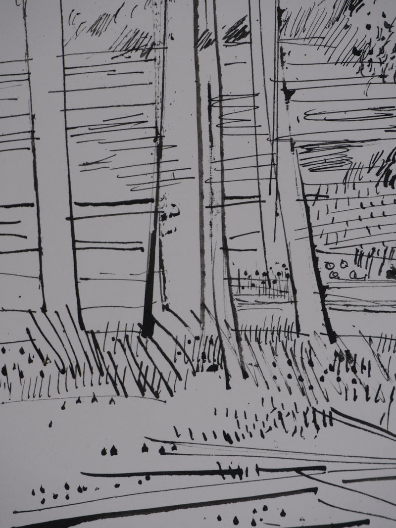 Maurice GENIS : Le sous-bois, Dessin original signé