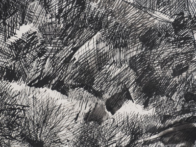 Maurice GENIS : Dans la forêt, Dessin original signé