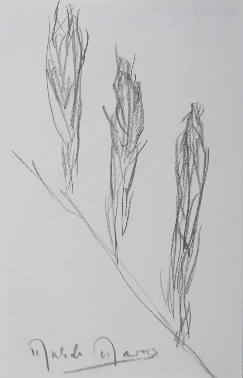 Autographe original de Michèle MAUROIS (vue générale) - Crédit photo : Galerie Art.Paris