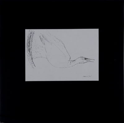 Maurice GENIS : L'oiseau sauvage, Dessin original signé