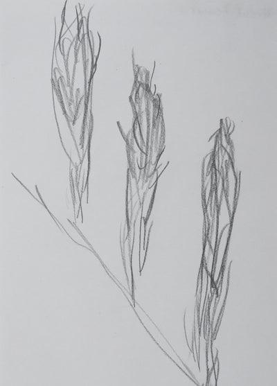 Autographe original de Michèle MAUROIS (photo de détail 3) - Crédit photo : Galerie Art.Paris