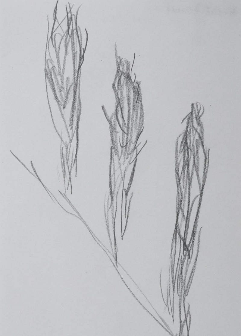 Autographe original de Michèle MAUROIS (photo de détail 3) - Crédit photo : Galerie Art.Paris