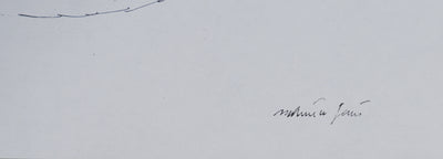 Maurice GENIS : L'oiseau sauvage, Dessin original signé