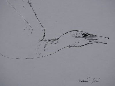 Maurice GENIS : L'oiseau sauvage, Dessin original signé