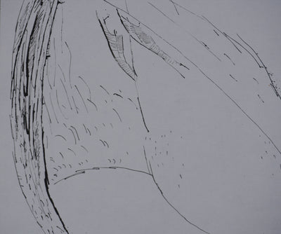 Maurice GENIS : L'oiseau sauvage, Dessin original signé