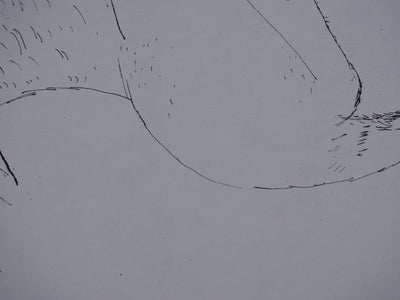 Maurice GENIS : L'oiseau sauvage, Dessin original signé