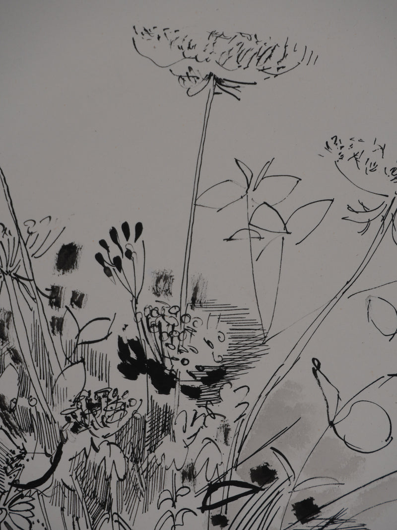 Maurice GENIS : Composition florale, Dessin original signé