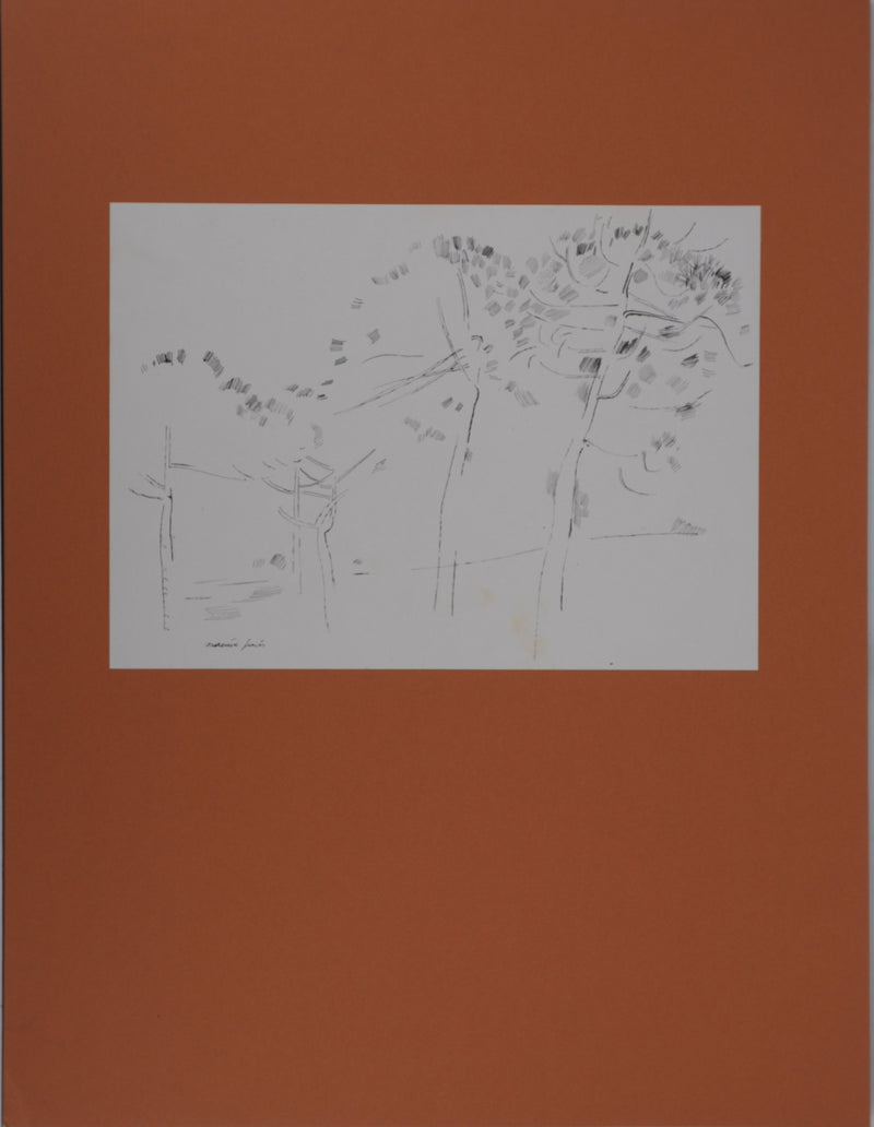 Maurice GENIS : Les pins, Dessin original signé