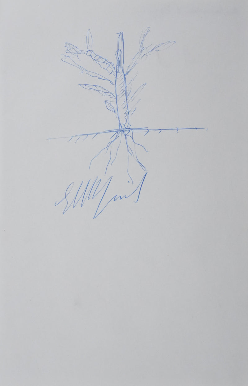 Autographe original de Ambassadeur d&