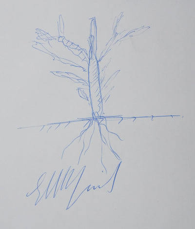 Autographe original de Ambassadeur d'Egypte (vue générale) - Crédit photo : Galerie Art.Paris