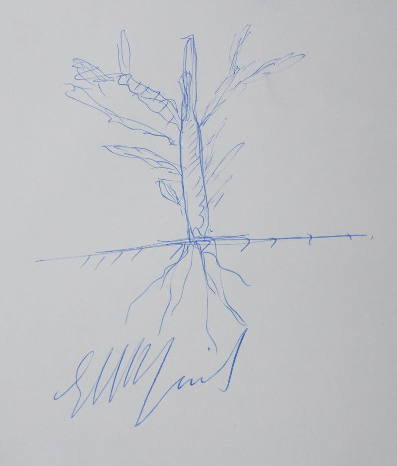 Autographe original de Ambassadeur d&