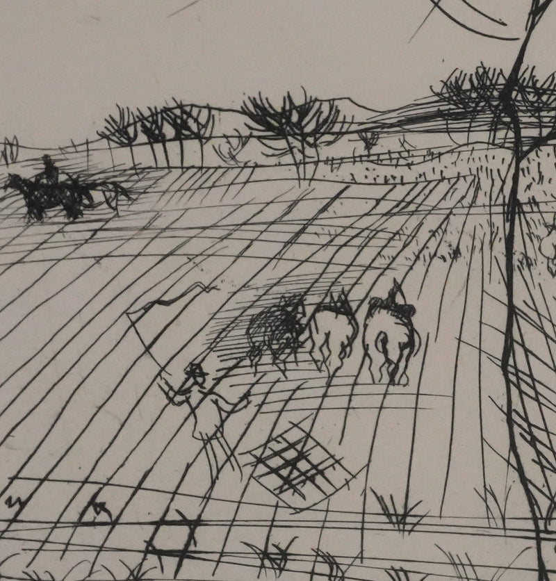 Raoul DUFY : Les champs au soleil, Gravure originale