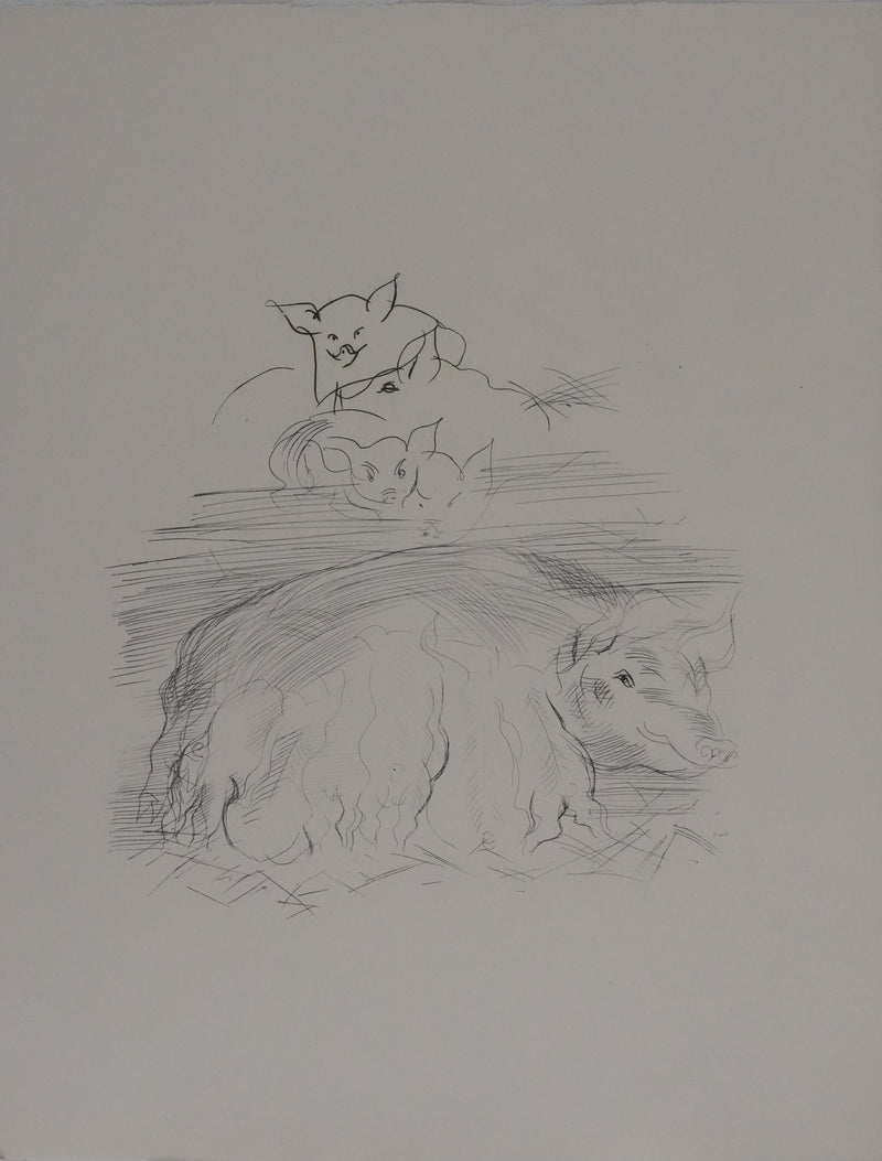 Raoul DUFY : La truie et ses petits, Gravure originale