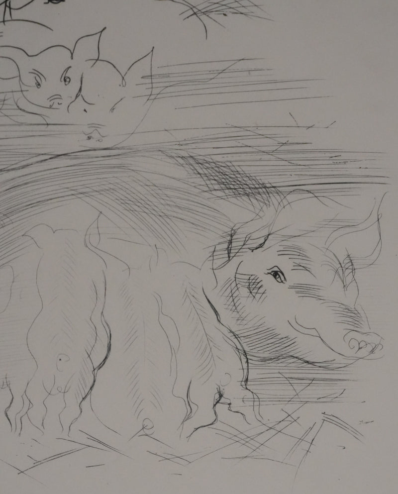 Raoul DUFY : La truie et ses petits, Gravure originale