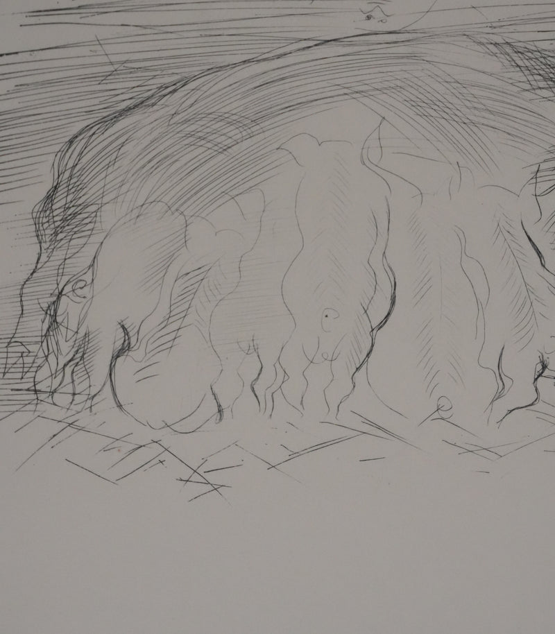 Raoul DUFY : La truie et ses petits, Gravure originale