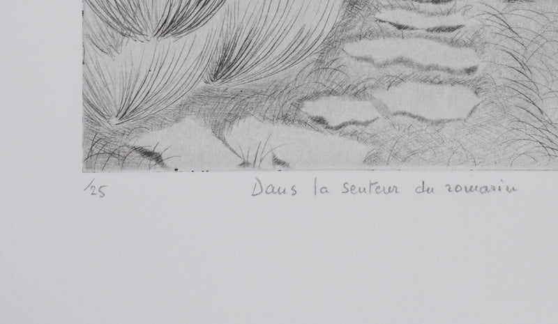 Camille COMBE : Dans la senteur du romarin, Gravure originale signée