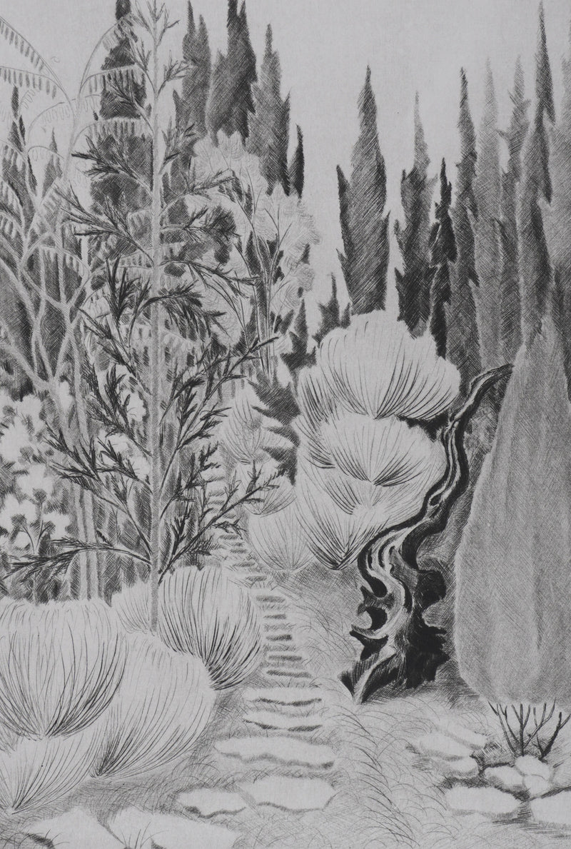 Camille COMBE : Dans la senteur du romarin, Gravure originale signée