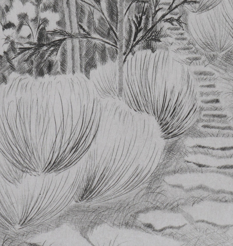 Camille COMBE : Dans la senteur du romarin, Gravure originale signée