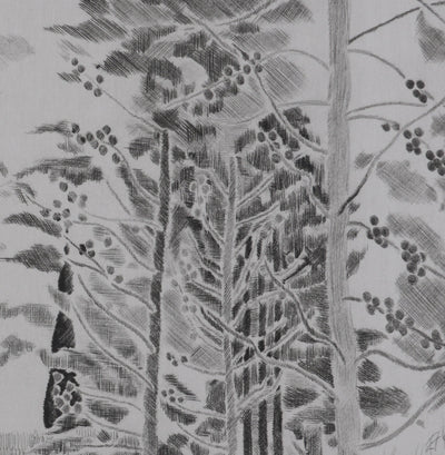 Camille COMBE : Sous les cyprès-flammes, Gravure originale signée