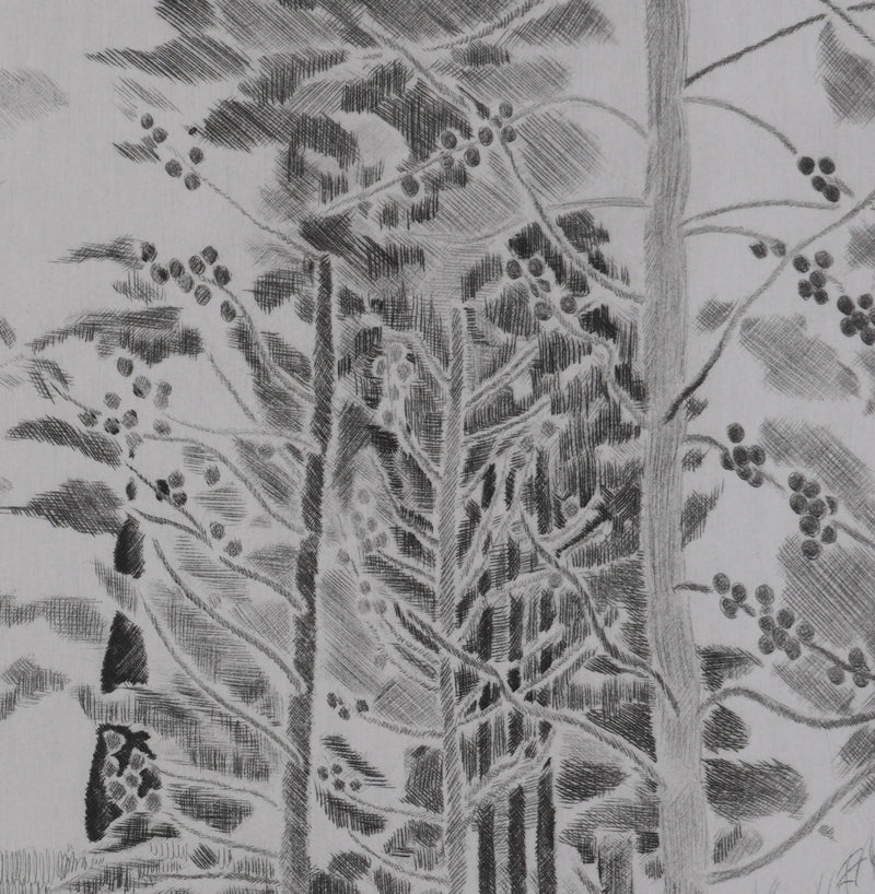 Camille COMBE : Sous les cyprès-flammes, Gravure originale signée