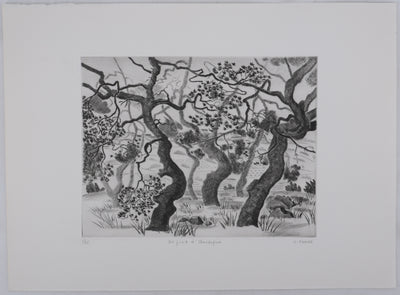 Camille COMBE : Les pins d'Auvergne, Gravure originale signée