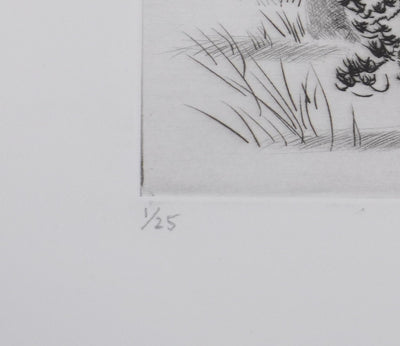 Camille COMBE : Les pins d'Auvergne, Gravure originale signée