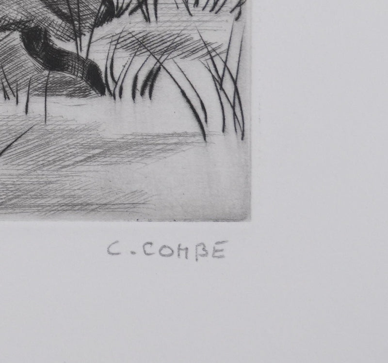 Camille COMBE : Les pins d&