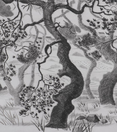 Camille COMBE : Les pins d'Auvergne, Gravure originale signée