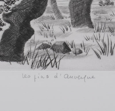 Camille COMBE : Les pins d'Auvergne, Gravure originale signée