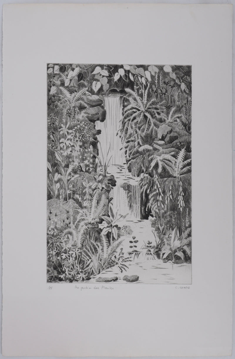 Camille COMBE : Au jardin des Plantes, Gravure originale signée