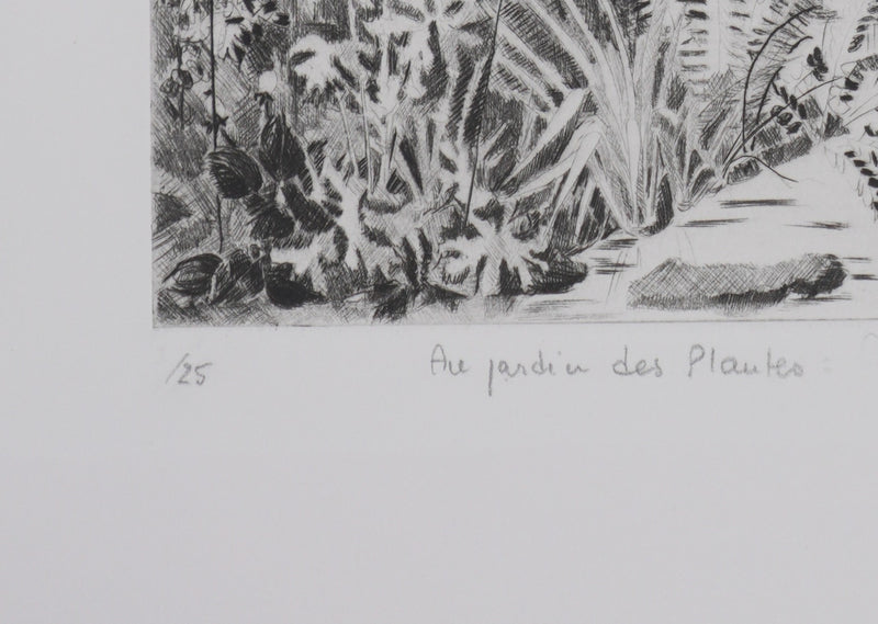 Camille COMBE : Au jardin des Plantes, Gravure originale signée