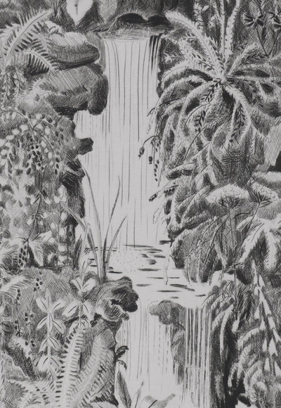 Camille COMBE : Au jardin des Plantes, Gravure originale signée