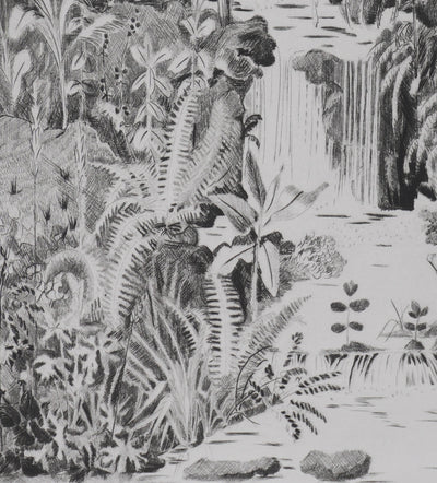 Camille COMBE : Au jardin des Plantes, Gravure originale signée